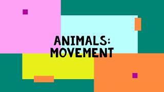 Animals Movements [upl. by Kristofor318]