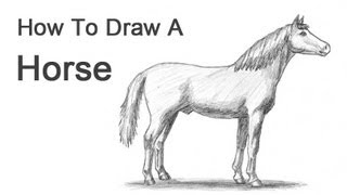 How to Draw a Horse [upl. by Aneleh]