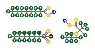 What are PFAS [upl. by Urbanus]