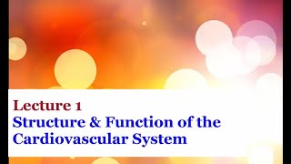 Ventricle Model for Brain series [upl. by Petite20]