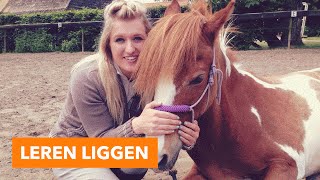 Leren liggen vrijheidsdressuur  PaardenpraatTV [upl. by Peednam444]