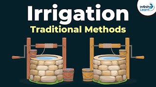 Traditional Methods of Irrigation  Crop Production and Management  Dont Memorise [upl. by Nolrac]