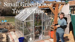 Small Greenhouse Tour amp Tips [upl. by Irv]