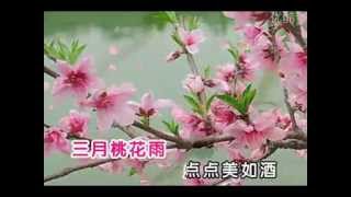 三月桃花雨（童丽演唱） [upl. by Pliske]