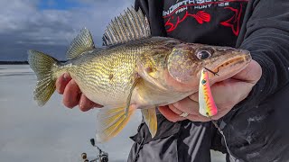 NonStop Daytime Walleyes  Howto Ice Fish Petenwell Lake in Wisconsin for Walleyes  S14 E9 [upl. by Orme]