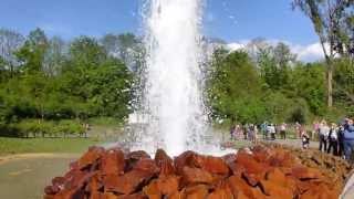 Geysir Andernach [upl. by Ahseenyt]