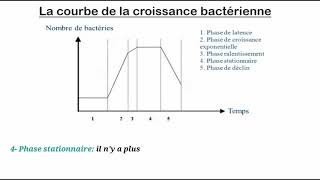 La croissance bactérienne [upl. by Thomasina]