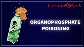 Organophosphate Poisoning [upl. by Scarlett]