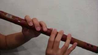 Basic introduction of the Dizi Chinese Bamboo Flute [upl. by Mose]