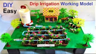 drip irrigation agriculture working model for science project exhibition  DIY  howtofunda [upl. by Ailadi]