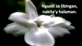 Mabuhay Singers  Sampaguita with Lyrics [upl. by Sena]