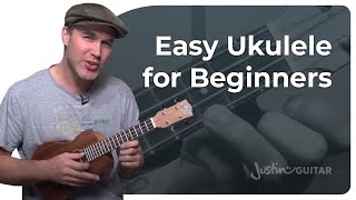 How to Play the Ukulele 4 Easy Chords amp Many Songs [upl. by Caputo]