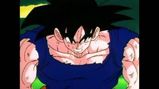 Goku transformation super saiyan vf  Dragon Ball Z [upl. by Naoma]