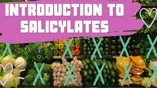 What are salicylates and why do people avoid them [upl. by Brynna178]