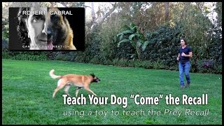 Teach Your Dog to COME the Recall  Robert Cabral Dog Training 12 [upl. by Saltsman643]