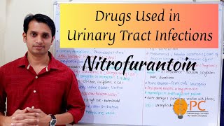 Drugs Used in Urinary Tract infections Part 1 Nitrofurantoin Pharmacology  Urinary Antiseptics [upl. by Rubbico]