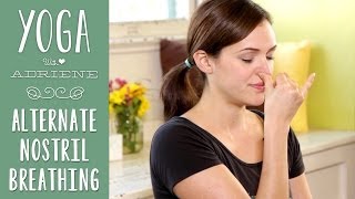 Yoga Breathing  Alternate Nostril Breathing [upl. by Razec]