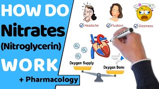 How Do Nitrates Work Nitroglycerin [upl. by Nwahsirhc]