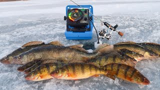 Ice Fishing for Perch and Walleyes MINNESOTA [upl. by Krock]