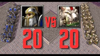 20 Footman VS 20 Shaman  Unit battle Warcraft III [upl. by Marcoux]