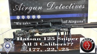 Hatsan 125 Sniper Vortex 177 22 and 25 Caliber quotFull Reviewquot by AIrgun Detectives [upl. by Marlea]