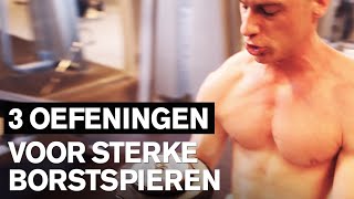 BORST WORKOUT 3 basisoefeningen voor sterke borstspieren [upl. by Els]