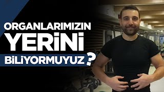 Organlarımızın Yerini Biliyor muyuz [upl. by Beckerman910]