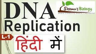 DNA replication in hindi [upl. by Gabe]