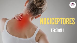 1 NOCICEPTORES FISIOLOGÍA DEL DOLOR [upl. by Itida]