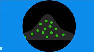 Fluorescence Filters Choosing a Filter Set [upl. by Notpmah]