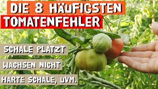 Die 8 häufigsten Fehler beim Tomatenanbau [upl. by Tekcirk]