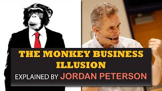 The Monkey Business Illusion Explained By Jordan Peterson [upl. by Yortal]