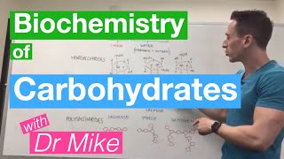 Carbohydrates  Biochemistry [upl. by Mercedes]