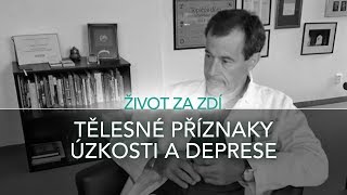 5 DÍL TĚLESNÉ PŘÍZNAKY ÚZKOSTI A DEPRESE [upl. by Haskel]