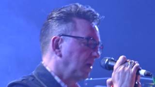 Richard Hawley  Coles Corner  Glastonbury Park Stage 24062016 [upl. by Stormie]