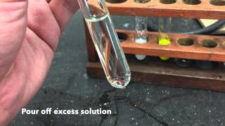 Anion Test  Sulfate Ions [upl. by Arela370]