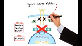 Pharmacology  CANCER DRUGS – CELL CYCLE INHIBITORS MADE EASY [upl. by Yehtomit366]