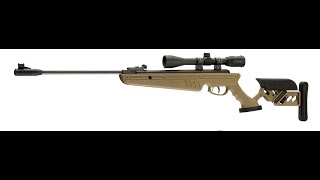 Swiss Arms TG 1 177 Cal 1400FPS Pellet Rifle Review [upl. by Lemuela]