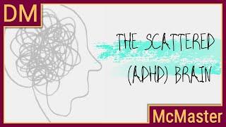 Understanding the scattered ADHD brain [upl. by Hump]