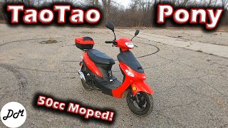 2018 Taotao Pony 50cc Moped – Ownership Update [upl. by Yancy]