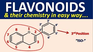 Flavonoids and their chemistry in easy way [upl. by Klenk509]