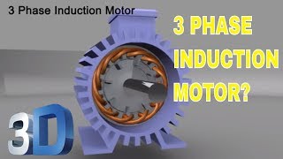 3 Phase Induction Motor [upl. by Nrubloc]