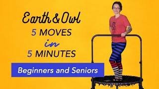 Beginners and Seniors 5 Minute Trampoline Rebounding Workout [upl. by Corbin511]