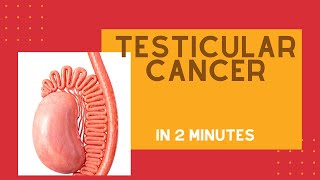 How to treat swollen and painful Testicle Dr Santosh Bethur [upl. by Yanej]