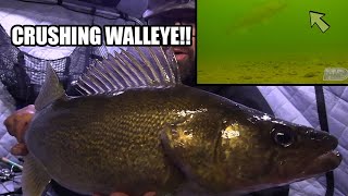 Ice Fishing Big Walleye  Amazing Underwater Footage [upl. by Adyeren]