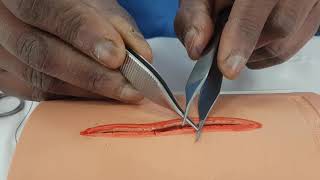 Forceps and Scissors Handling [upl. by Eugenle]