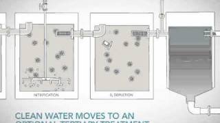 Moving Bed Biofilm Reactor MBBR video from Headworks BIO [upl. by Eceinal]