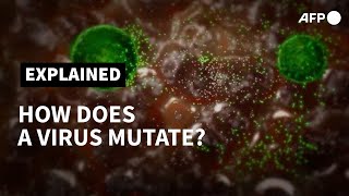 How does a virus mutate  AFP [upl. by Miranda]