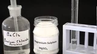 Test for a sulfate [upl. by Cory]