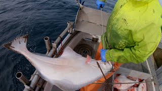 Halibut Fishing  Big Slabs or Broken Dreams  Longlining In Alaska [upl. by Wightman]